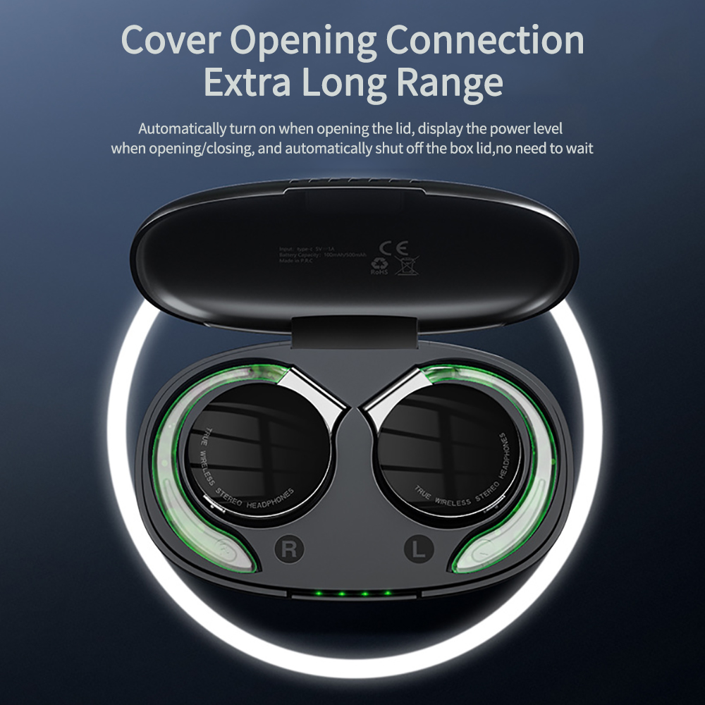 F2 TWS Earphones With Micropho - Sports Earphone Hook review and price