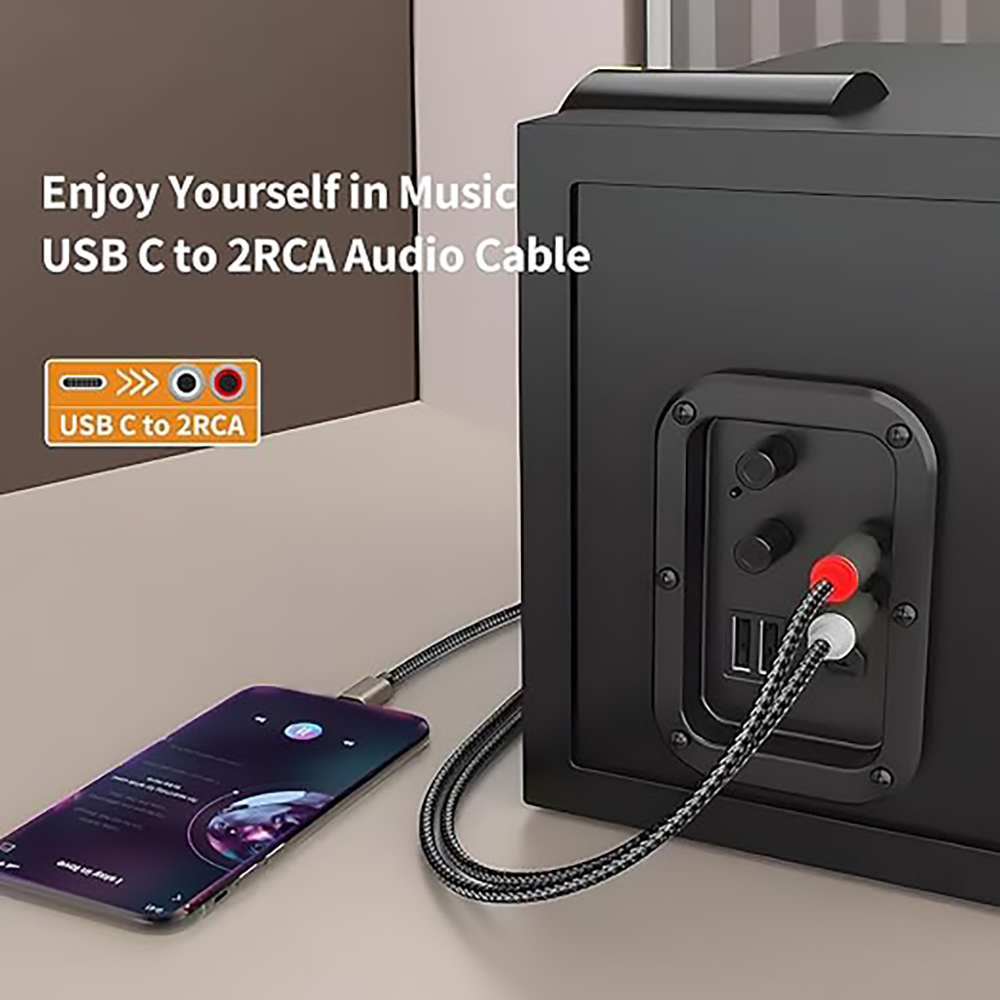 USB C to 2 RCA Audio Cable, Ty - Earphone Splitter Jack review and price